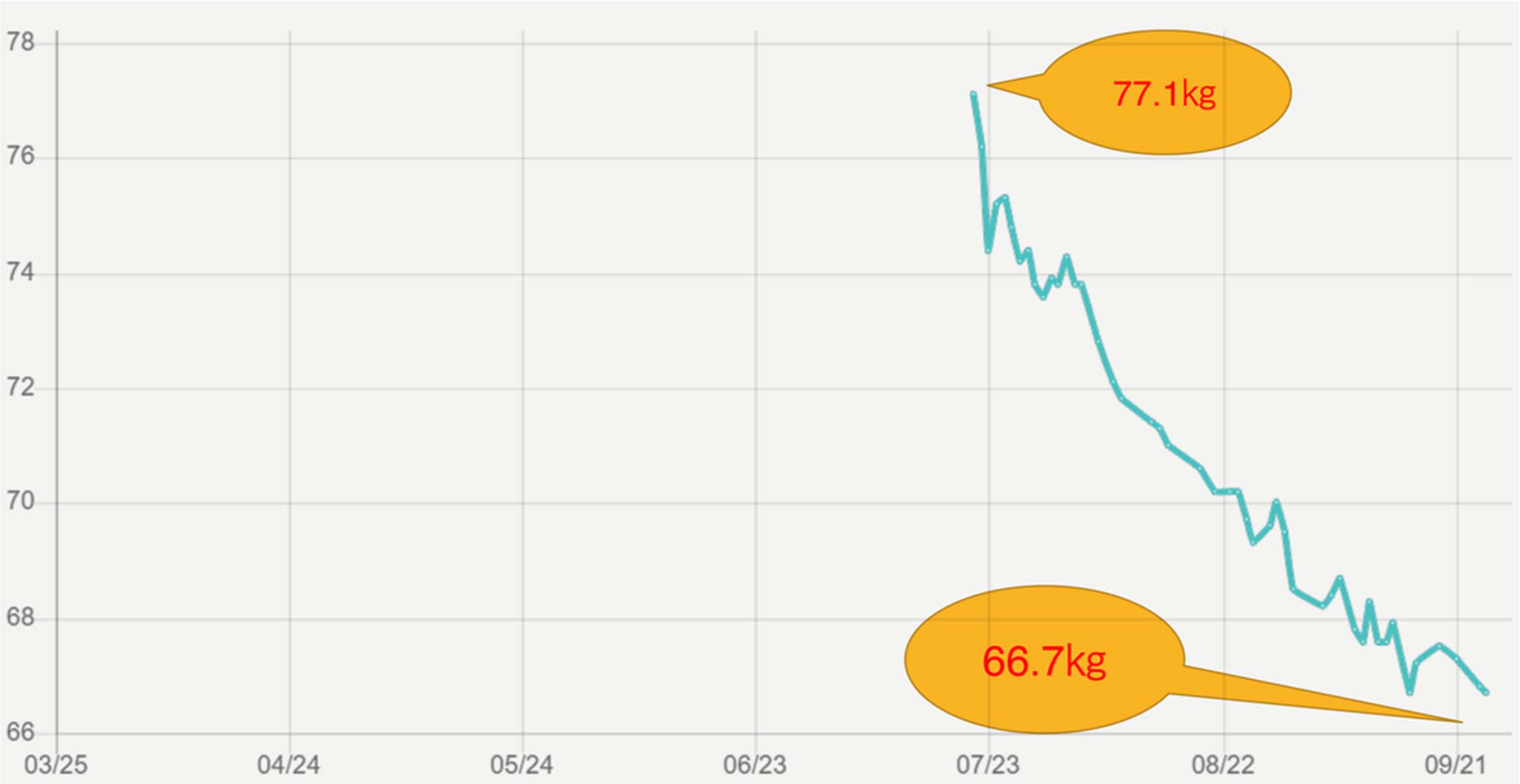 ダイエット：結果グラフ