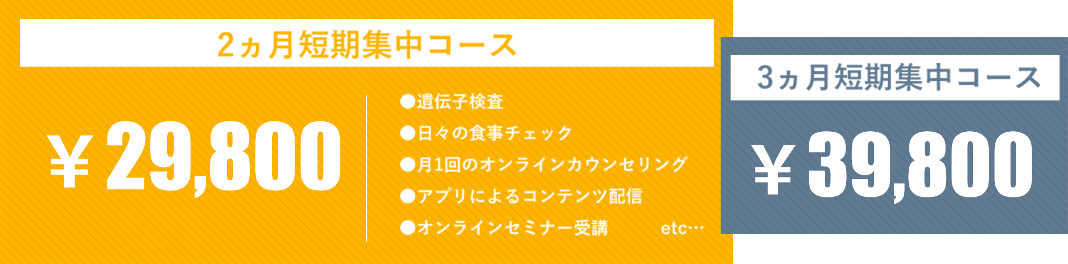 価格：コース案内