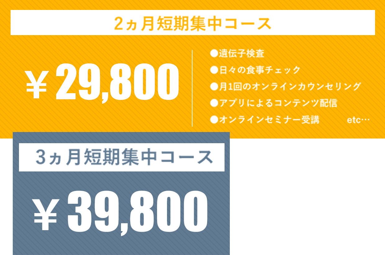 価格：コース案内